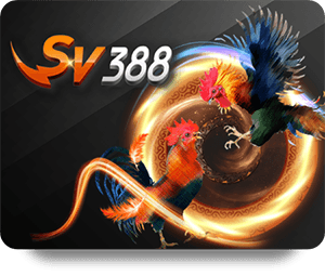 Đánh giá Dafabet Bet Online: Tính năng và dịch vụ hỗ trợ khách hàng